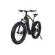 vélo fatbike électrique Surfliner