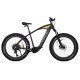 vélo fatbike électrique Surfliner