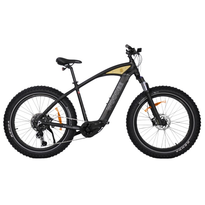 vélo fatbike électrique Surfliner