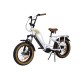 vélo beach cruiser électrique Coastliner Swan