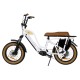 vélo beach cruiser électrique Beach Cab Option Biplace