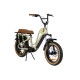 vélo beach cruiser électrique Beach Cab Option Biplace
