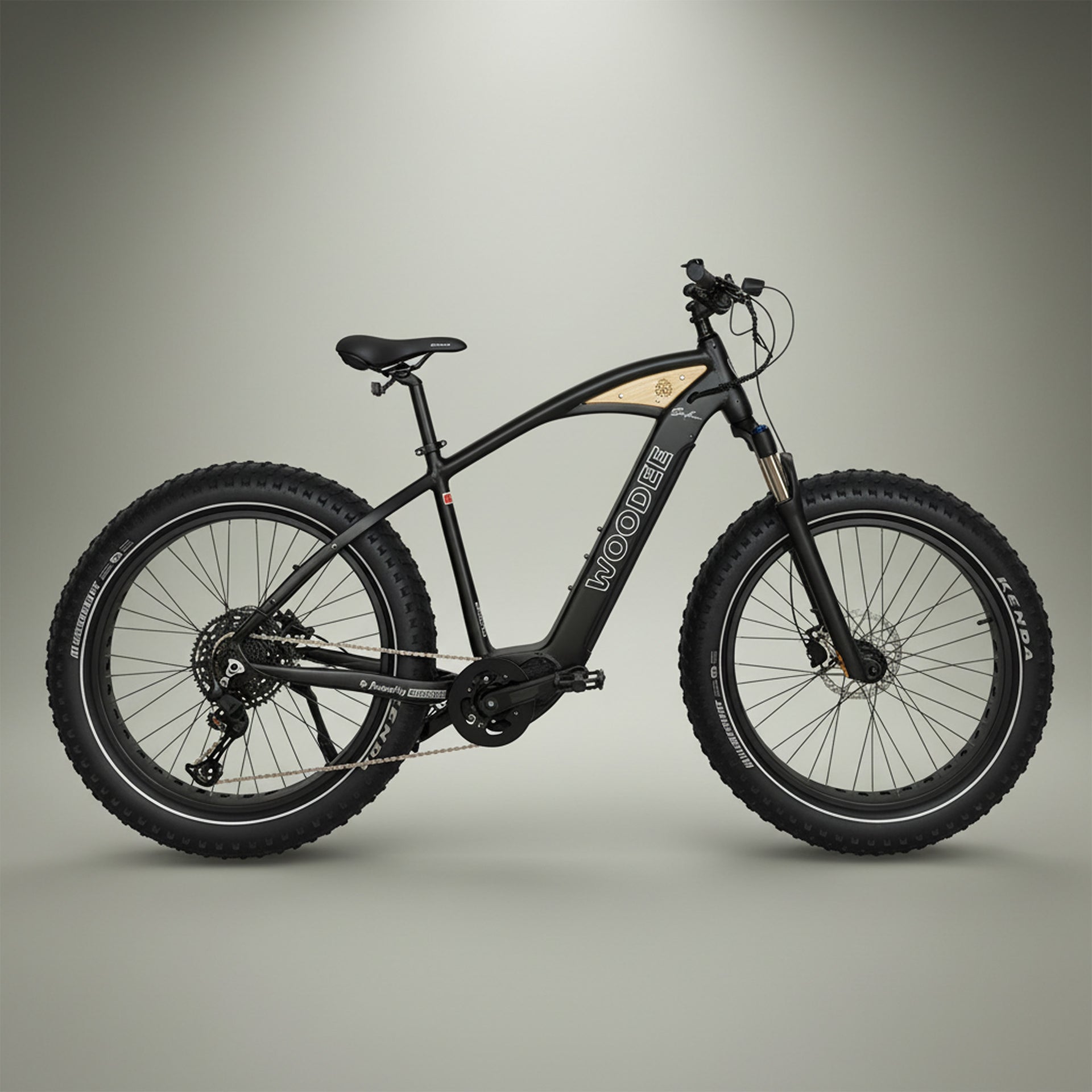 Woodee Surfliner Alu Brossé - VTT fatbike électrique